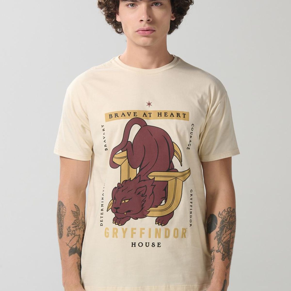 KOAJ - KOAJ Camiseta de Harry Potter kaki con cuello redondo Hombre