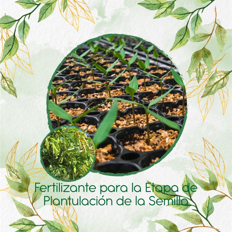 GENERICO - Fertilizante De Plantulación Para Árbol Guandul