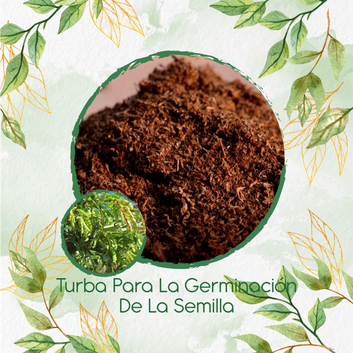 GENERICO - Turba Canadiense Especial Para Semillas De Guandul