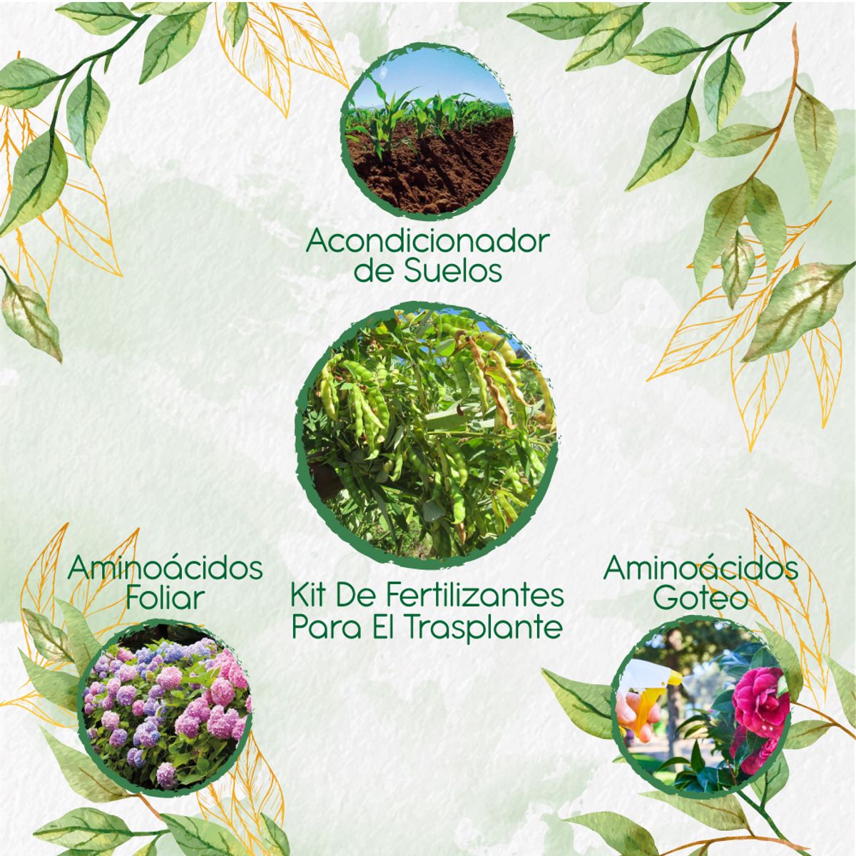 GENERICO - Kit De Fertilizantes Para El Trasplante De Guandul