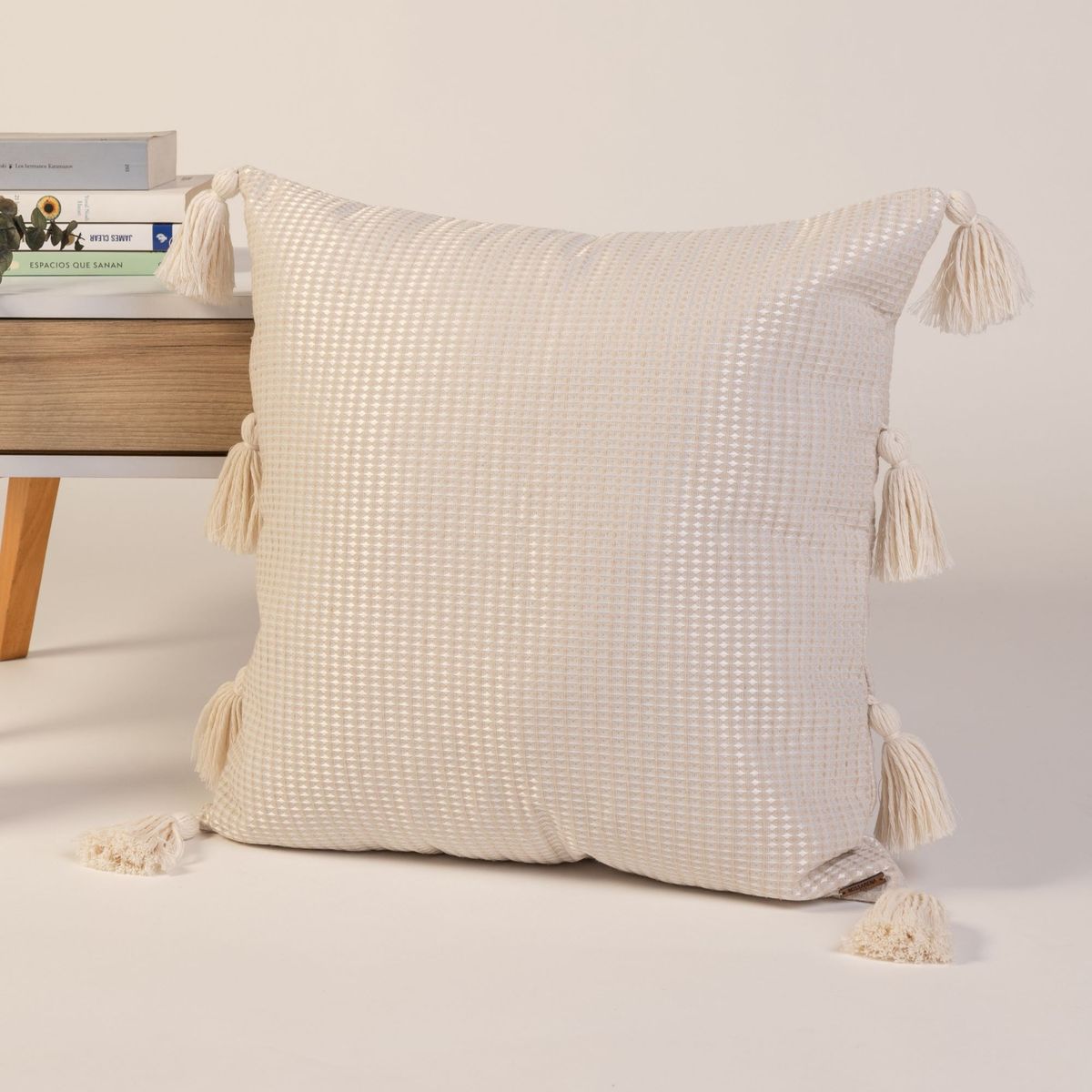 NOSSARENA - Funda de Cojin Roberta 50x50cm color greige