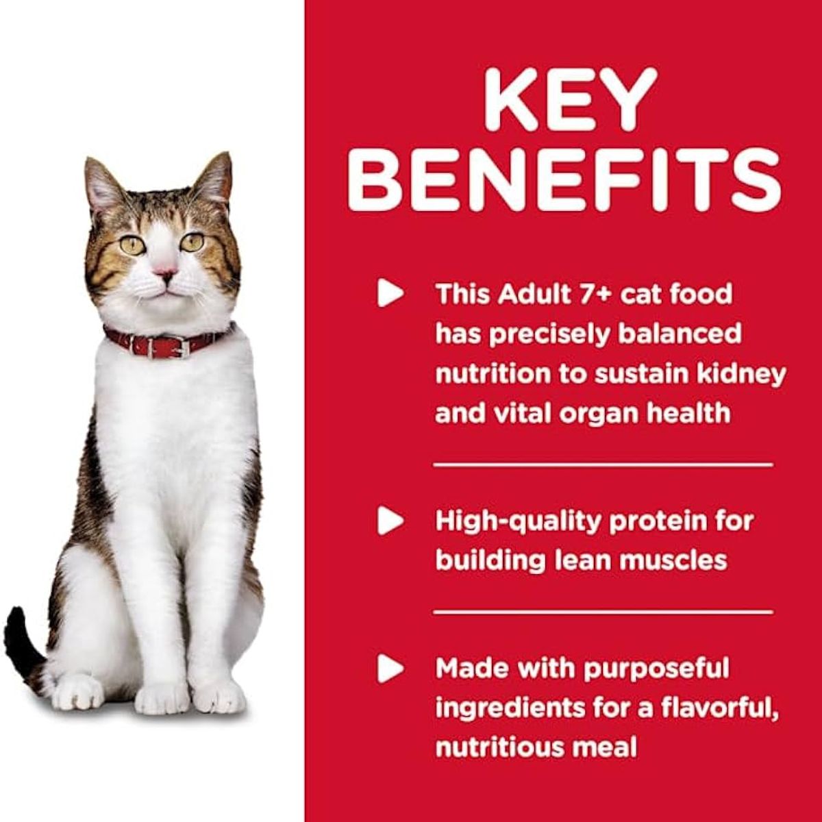 HILLS - Hill's Science Diet Adult 7+ Pavo  Gato 0.3 lb