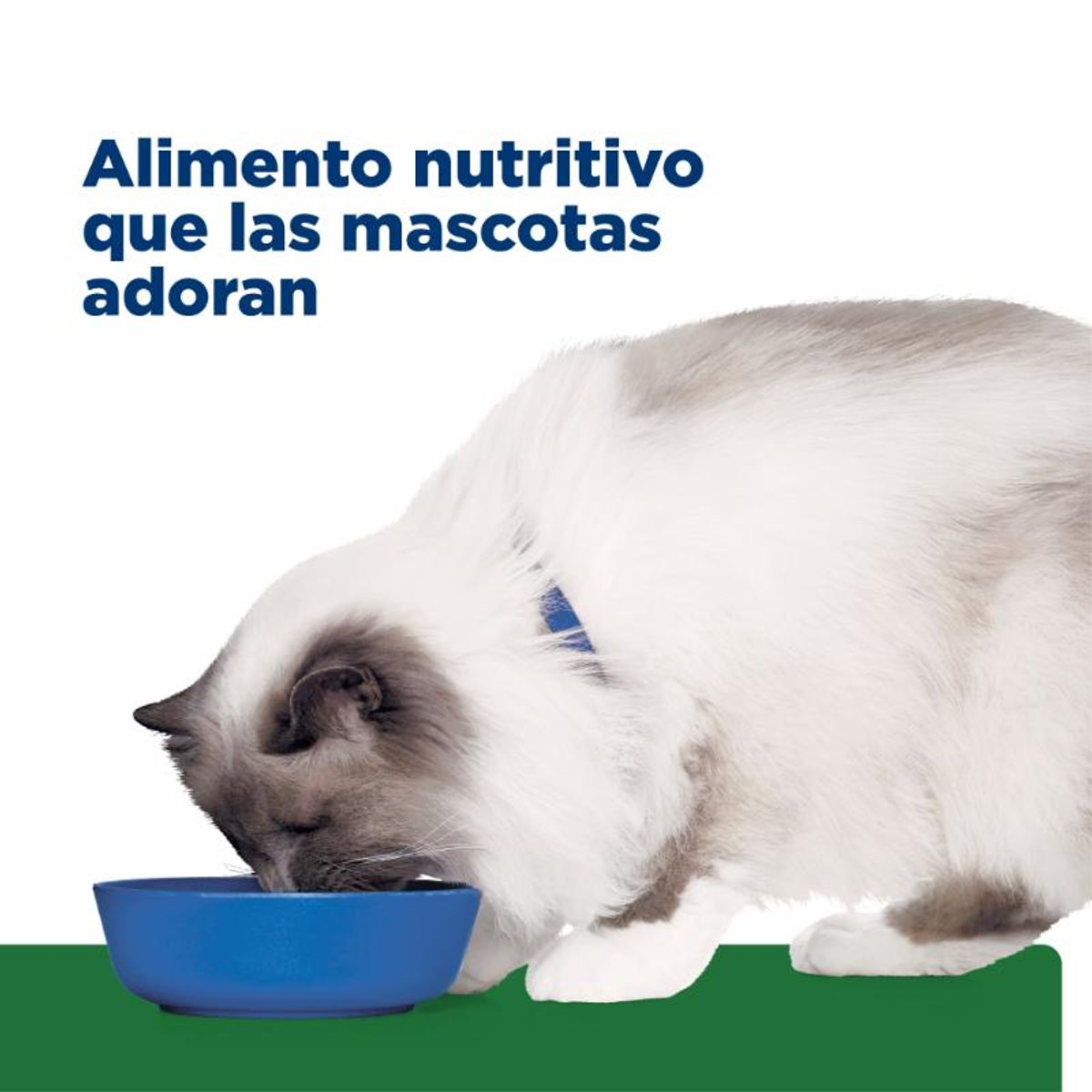 HILLS - Hill's Prescription Diet Gato R/D Reducción de Peso 4 lb