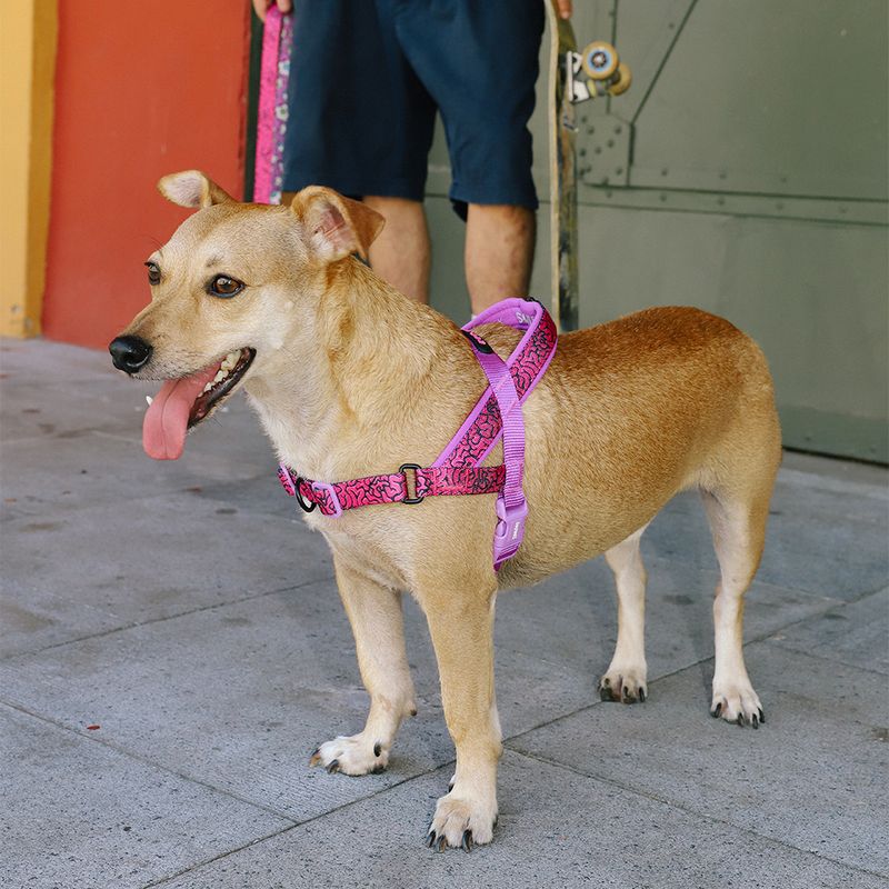 GENERICO - ZeeDog Softer Walk Harness ref Brain talla S