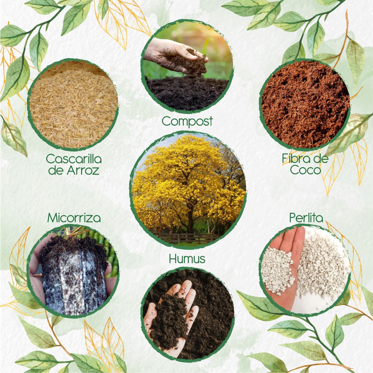 GENERICO - Kit De Acondicionadores De Suelos Para Árbol Guayacán Amarillo