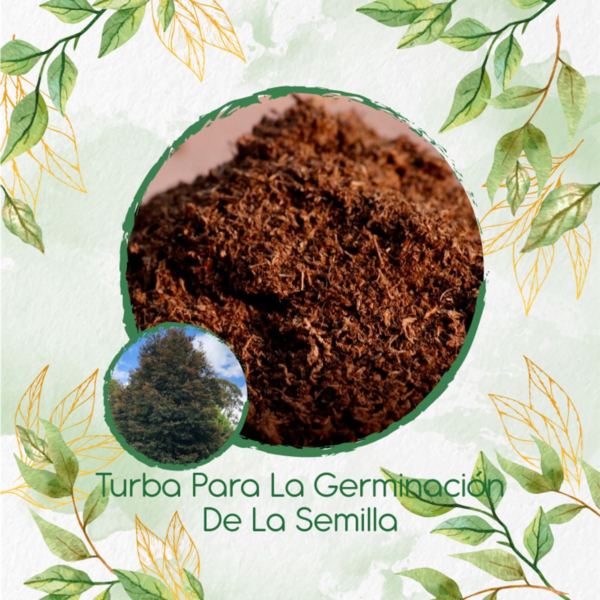 GENERICO - Turba Canadiense Especial Para Semillas De Árbol Guayacán De Manizales