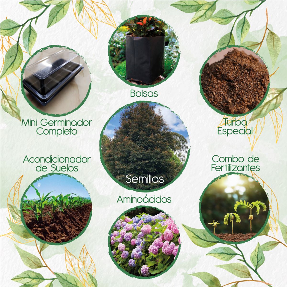 GENERICO - 200 Semillas De Guayacán De Manizales + Kit De Germinación Especial