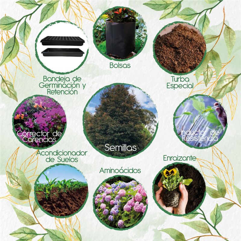 GENERICO - 400 Semillas De Árbol Guayacán de Manizales + Kit De Producción