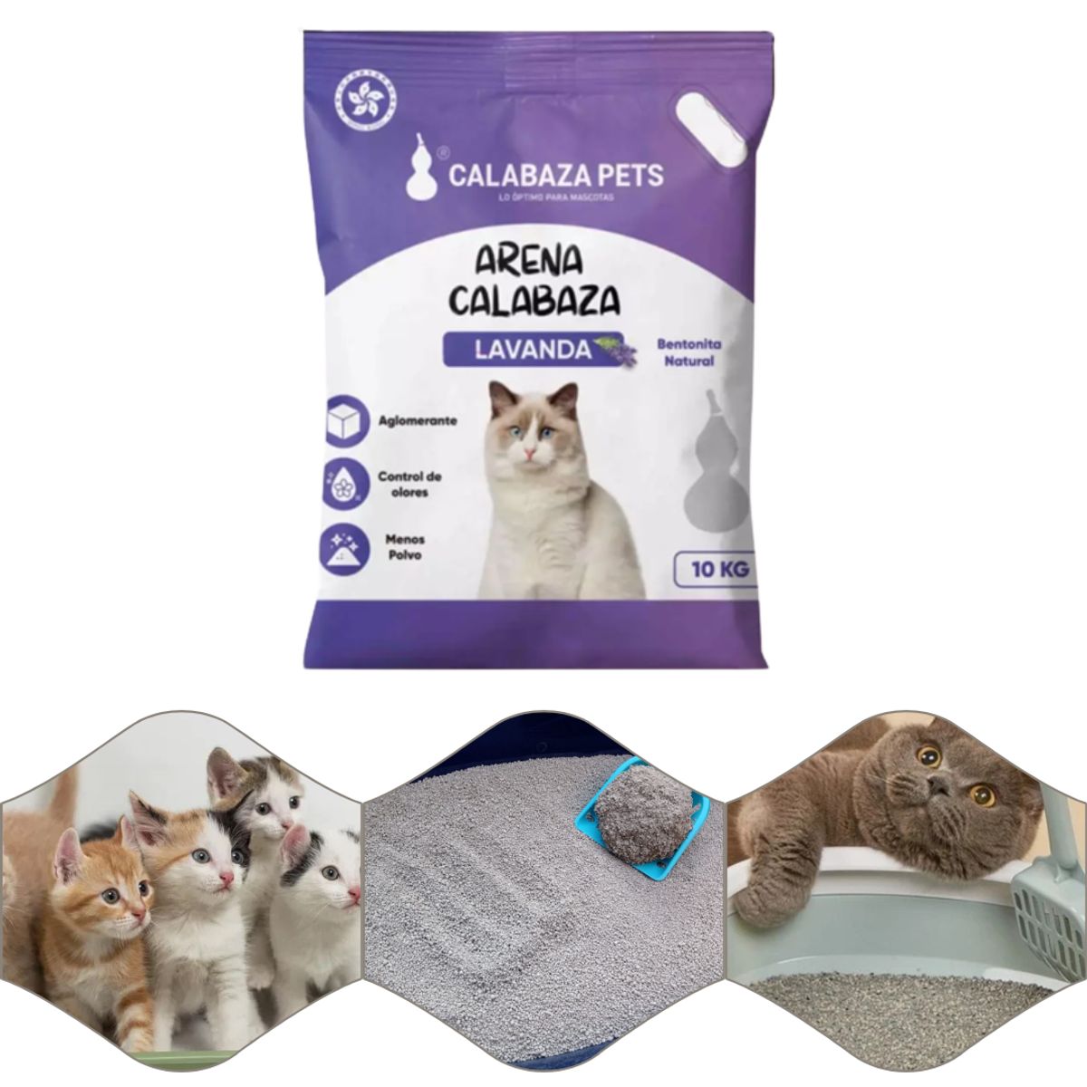 GENERICO - Calabaza Pets Arena para Gatos Aroma Lavanda