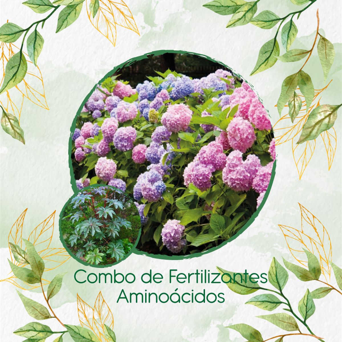 GENERICO - Combo De Fertilizantes Aminoácidos Para Higuerilla