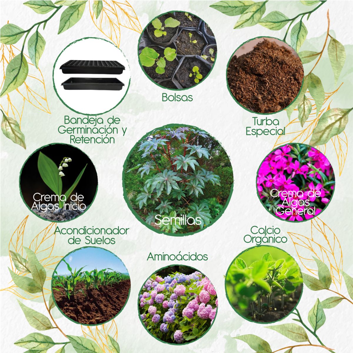 GENERICO - 30 Semillas De Higuerilla + Kit Orgánico