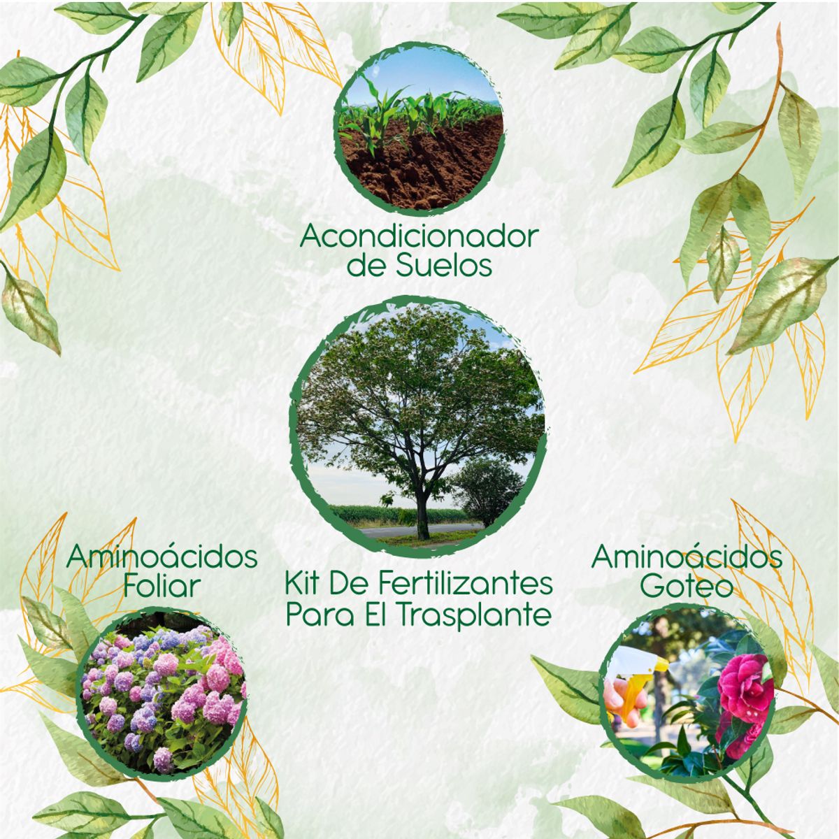 GENERICO - Sustrato Para Trasplante De Árbol Igua - Nauno