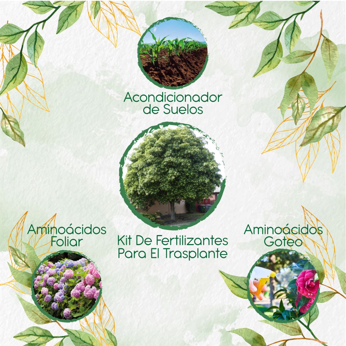 GENERICO - Kit De Fertilizantes Para El Trasplante De Árbol Jazmín - Huesito