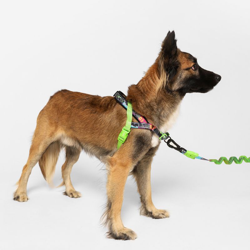 GENERICO - ZeeDog Softer Walk Harness ref Manifesto talla M