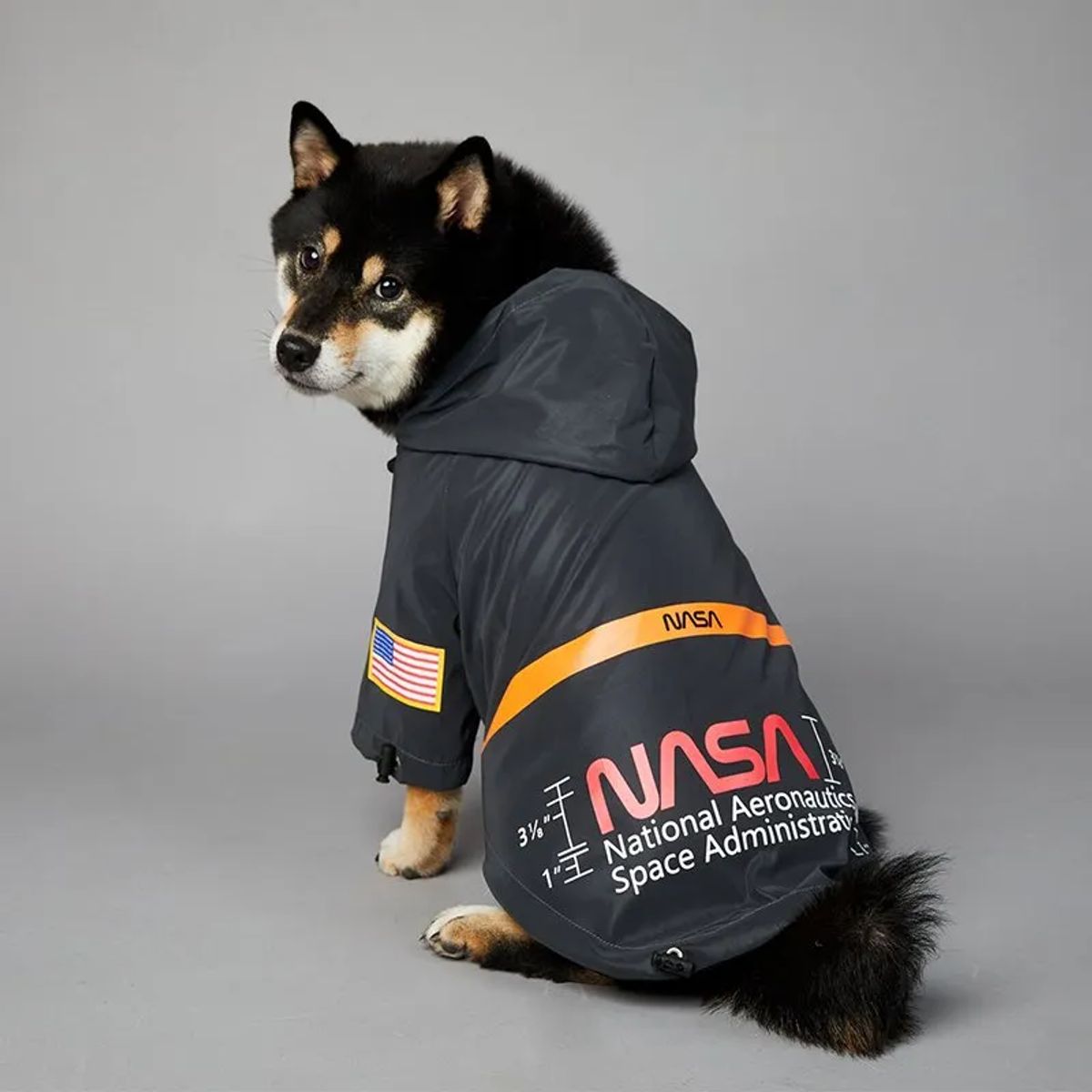 GENERICO - Chaqueta Impermeable Reflectiva para Perros Talla L