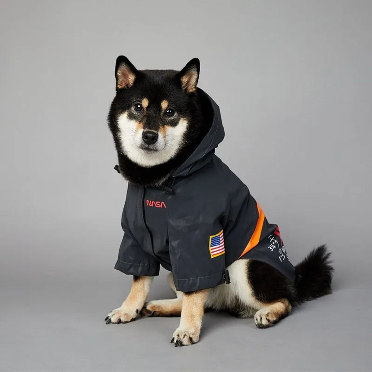 GENERICO - Chaqueta Impermeable Reflectiva para Perros Talla L