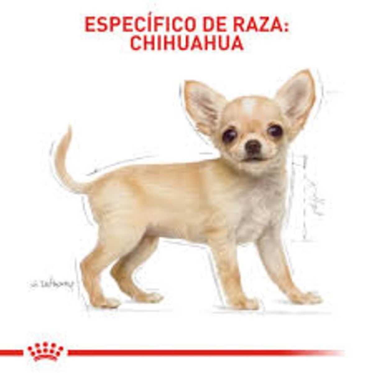 ROYAL CANIN - Royal Canin Chihuahua Puppy-1kg