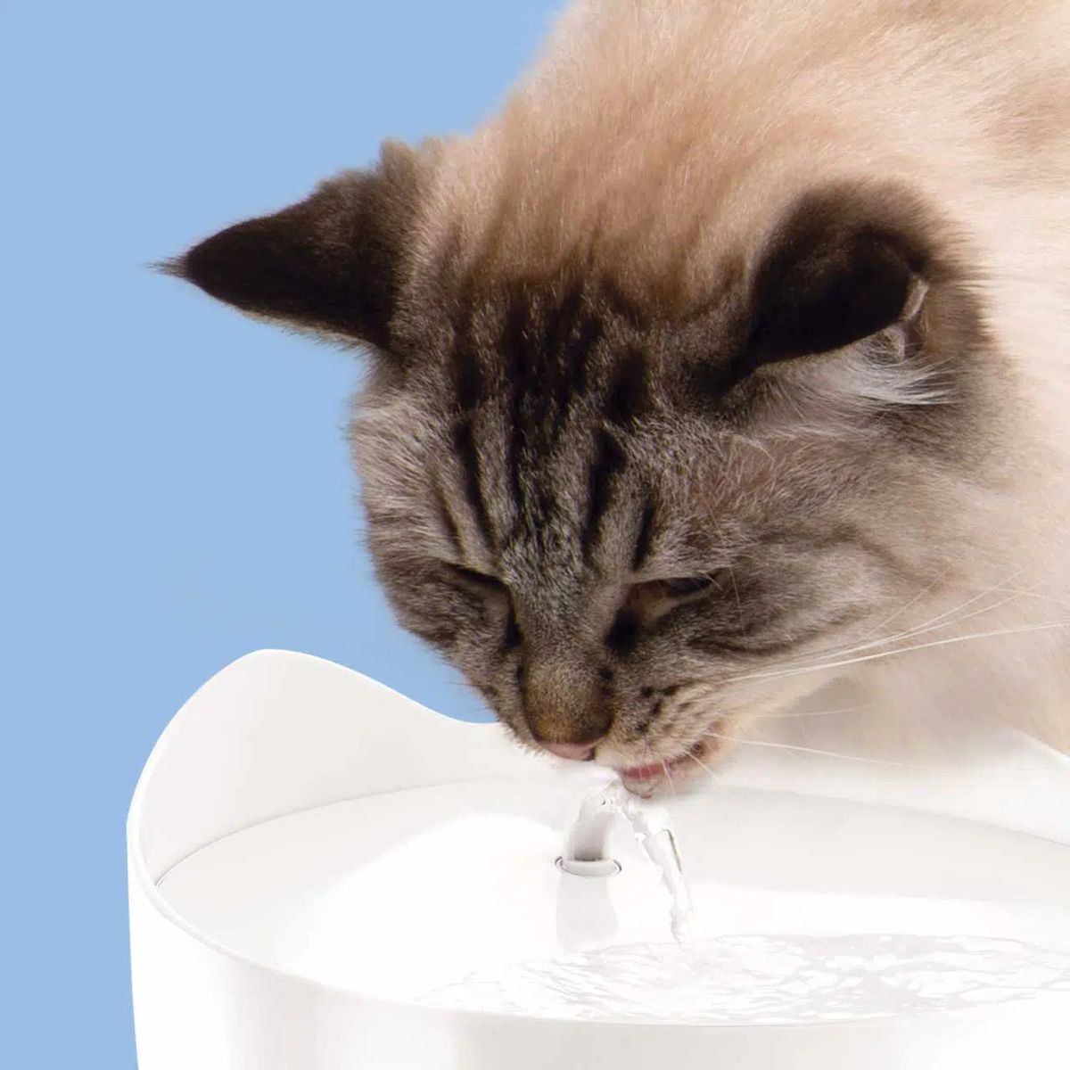 CATIT - Catit Fuente de Agua Pixi 2lt 500ml  - Azul Claro