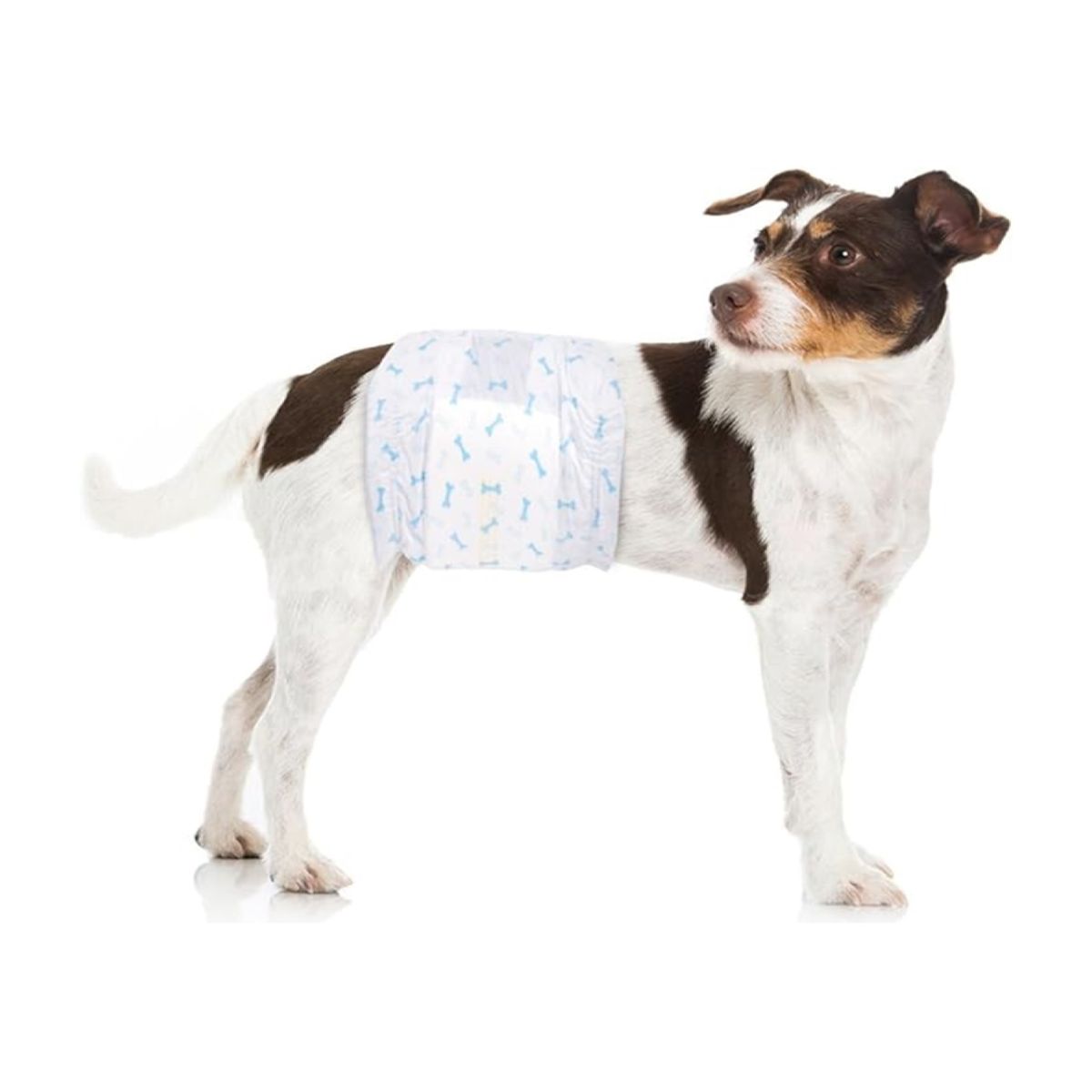 HALLY PET - Pañal macho Talla M por 24 Unidades