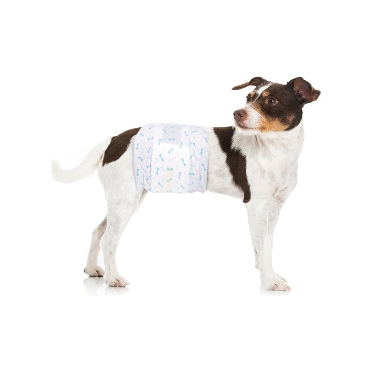 HALLY PET - Pañal macho Talla M por 24 Unidades