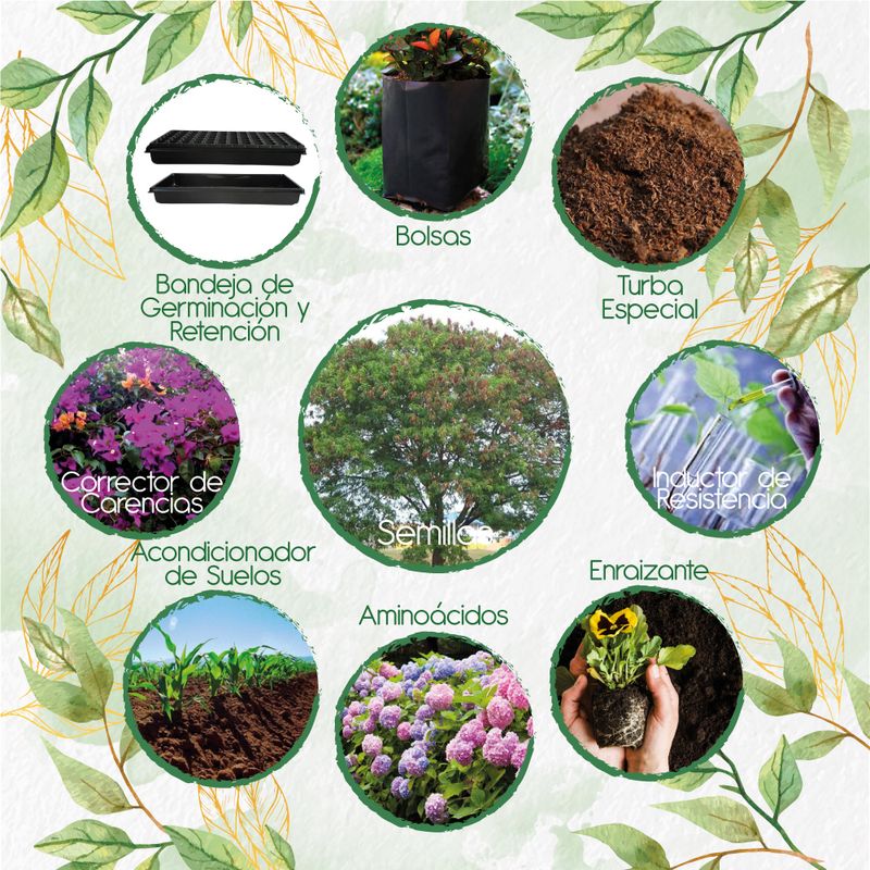 GENERICO - 400 Semillas De Árbol Leucaena + Kit De Producción
