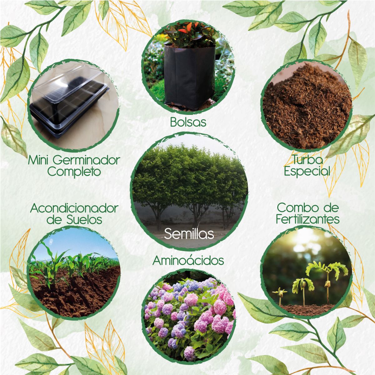 GENERICO - 100 Semillas De Árbol Limón Ornamental + Kit De Germinación Especial