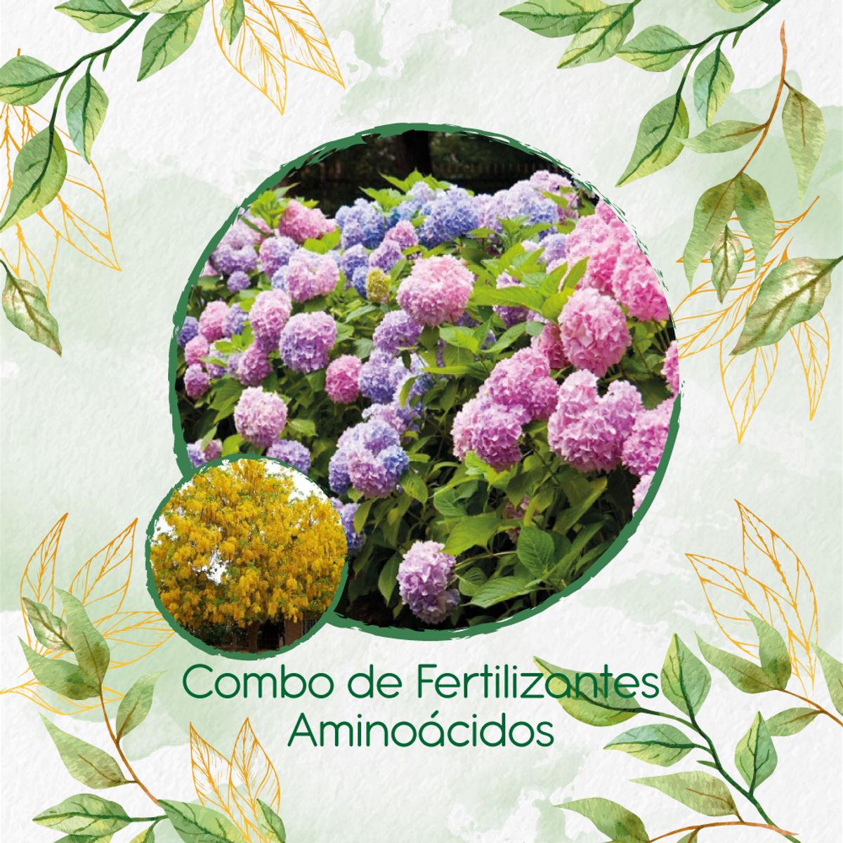 GENERICO - Combo De Fertilizantes Aminoácidos Para Árbol Lluvia De Oro