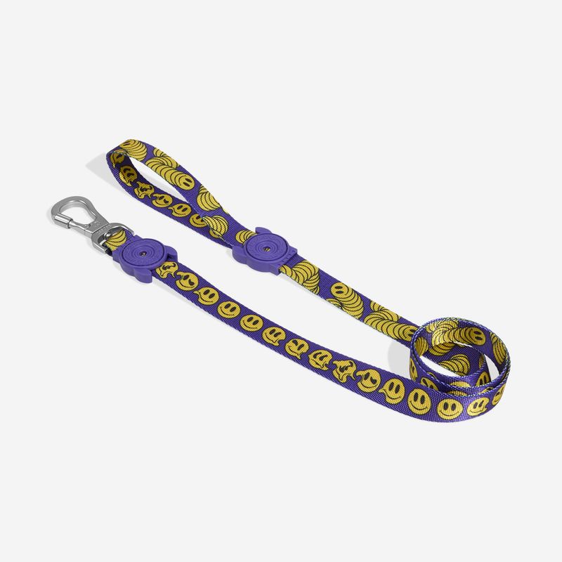 GENERICO - ZeeDog Regular Leash - Correa Perros ref Zmiley talla S