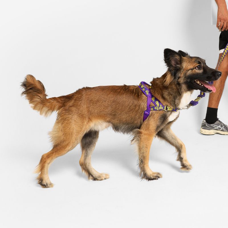GENERICO - ZeeDog Softer Walk Harness ref Zmiley talla M