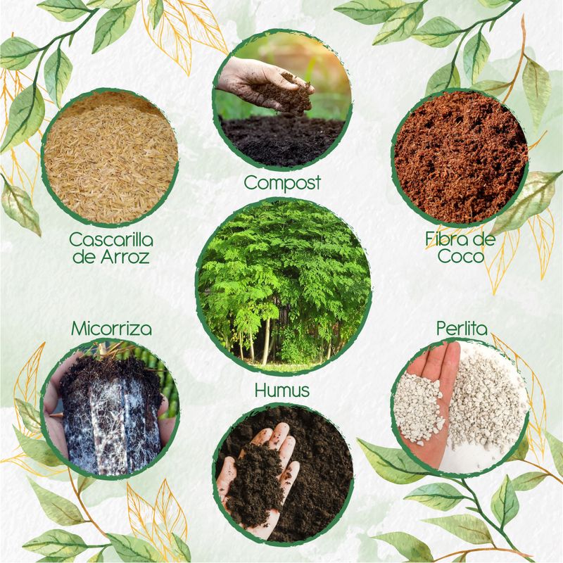GENERICO - Kit De Acondicionadores De Suelos Para Árbol Moringa