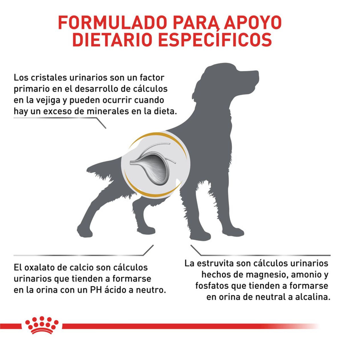 ROYAL CANIN - VHN Urinary S/O Dog 3 kg