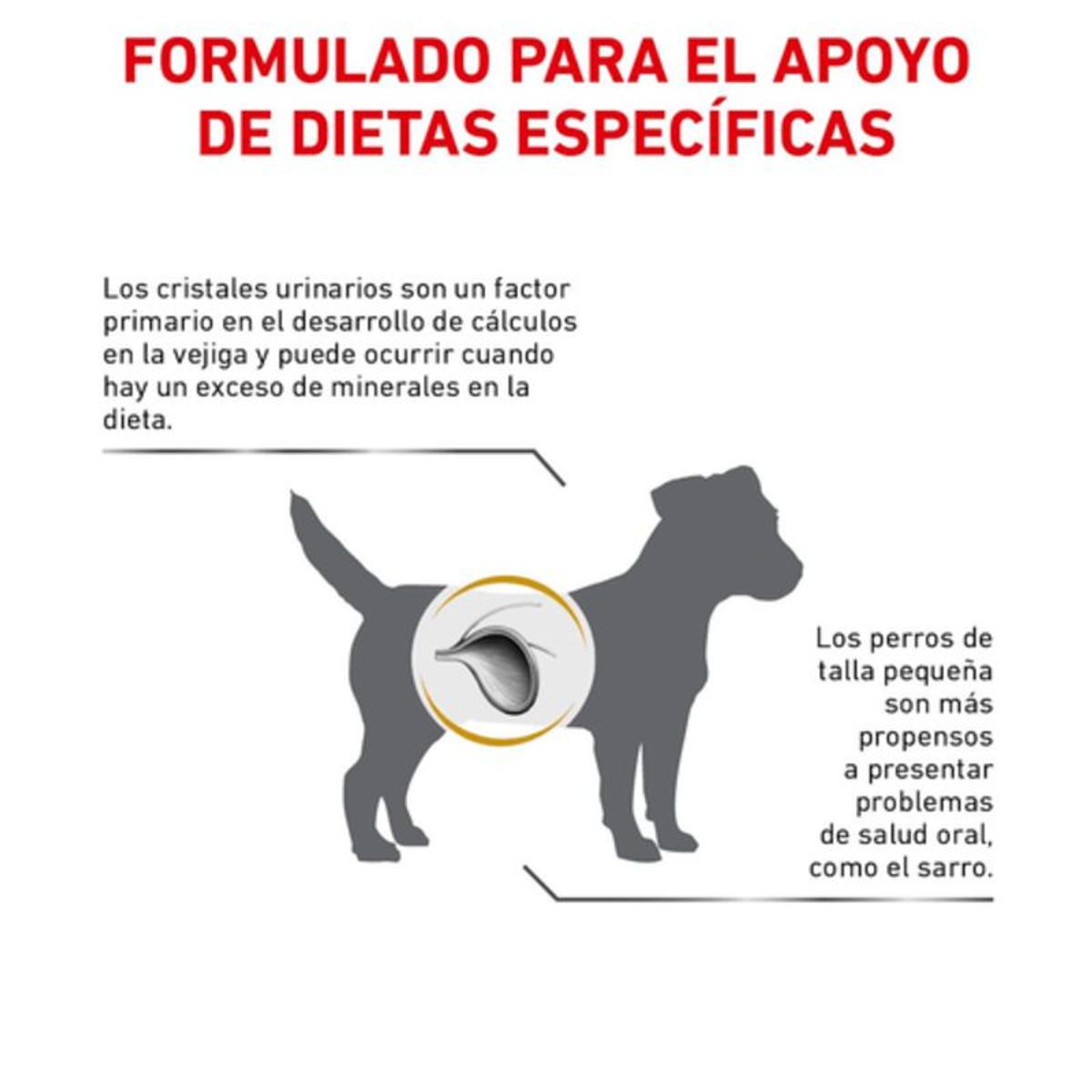 ROYAL CANIN - VHN Urinary Small Dog 4 kg