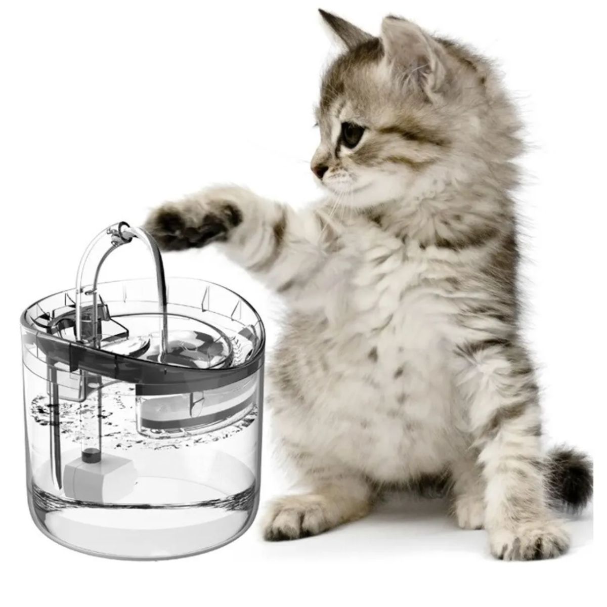 GENERICO - Fuente De Agua Gatos Bebedero Automatico Dispensador Agua
