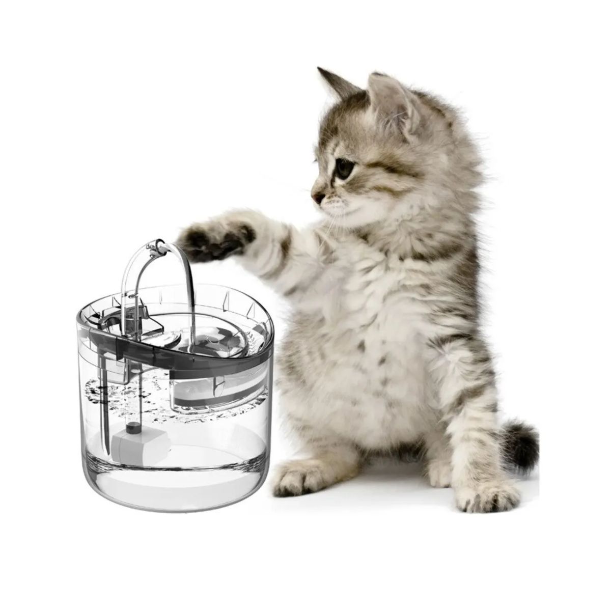 GENERICO - Fuente De Agua Gatos Bebedero Automatico Dispensador Agua