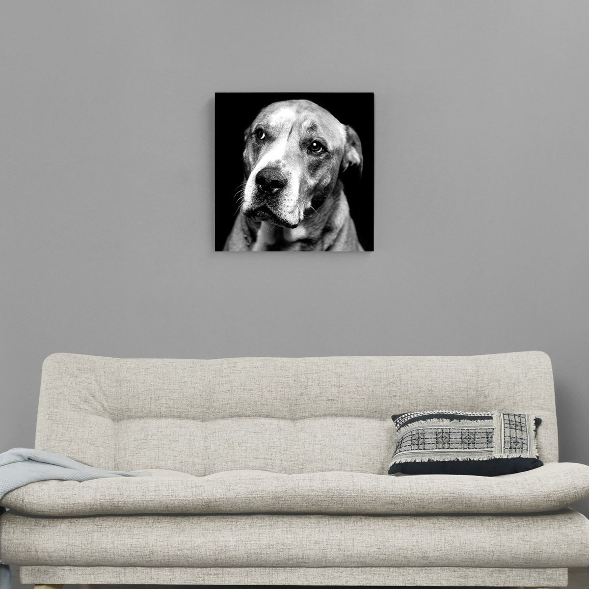VENECIA - Cuadro Decorativo Perro Blanco y Negro S 30x30 cm - impresion en Tela