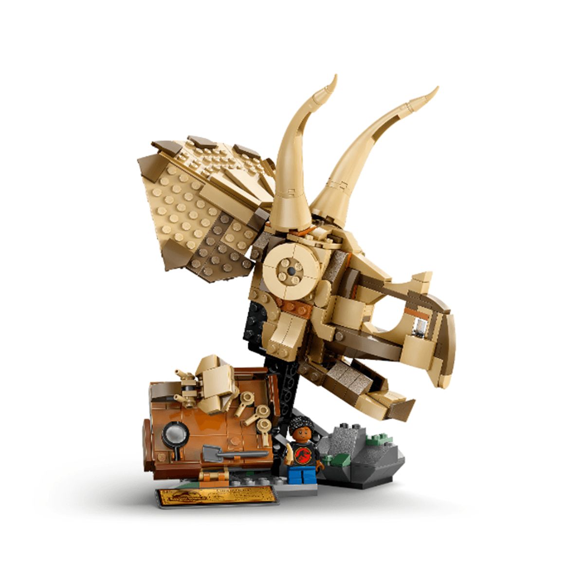 LEGO - Juego De Construcción Lego 468 Piezas Fósil Para Adultos