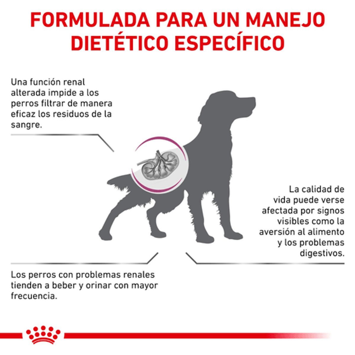 ROYAL CANIN - VHN Renal Support F Dog 2.72 kg
