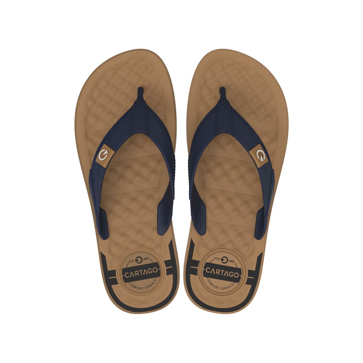 CARTAGO - SANDALIAS MARRON HOMBRE CARTAGO ARIZONA THONG AD 12212-BL203