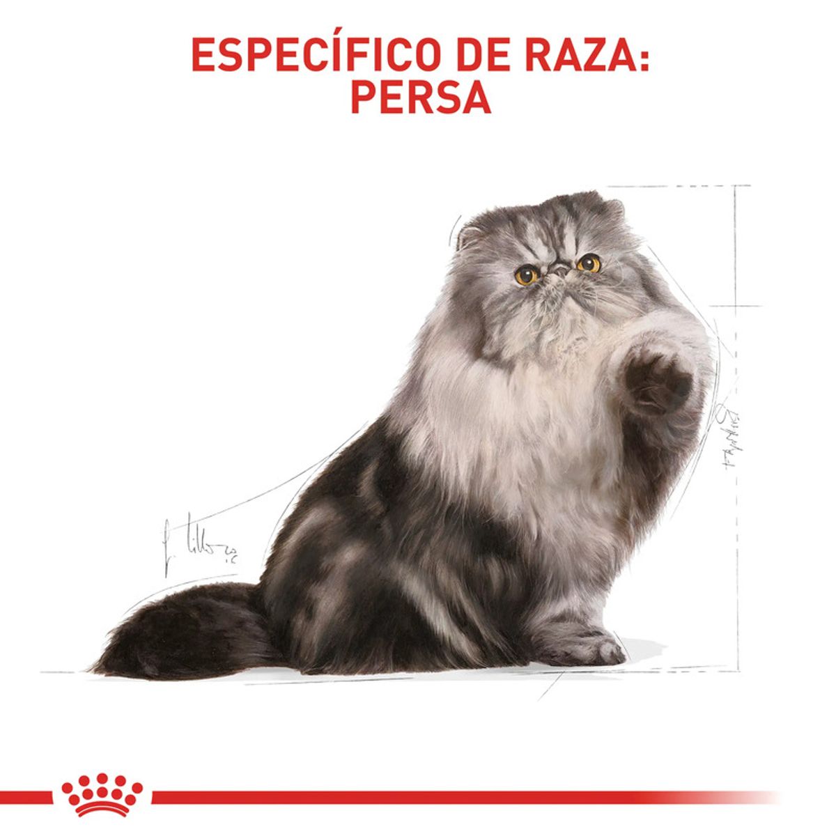 ROYAL CANIN - Royal Canin Persian Lata 85 g