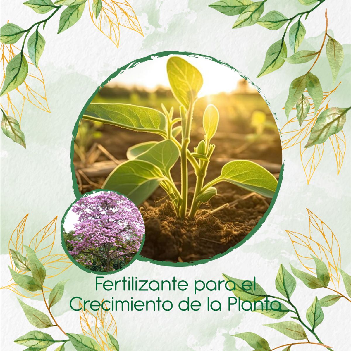 GENERICO - Fertilizante Para El Crecimiento De Árbol Ocobo