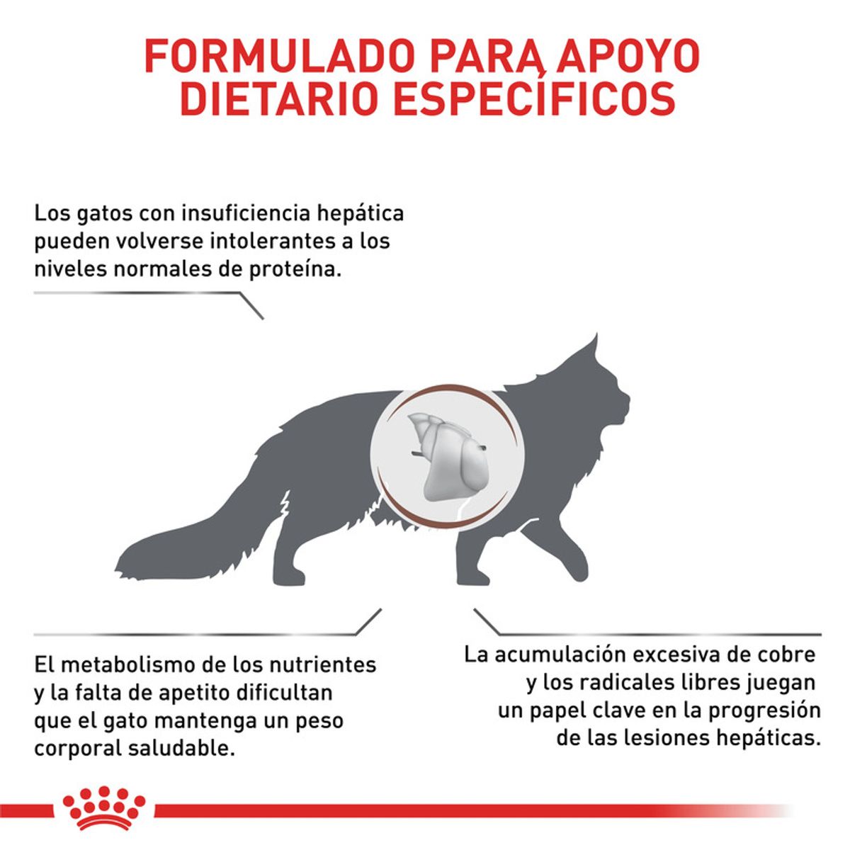 ROYAL CANIN - Royal Canin Hepatic Gato  2kg