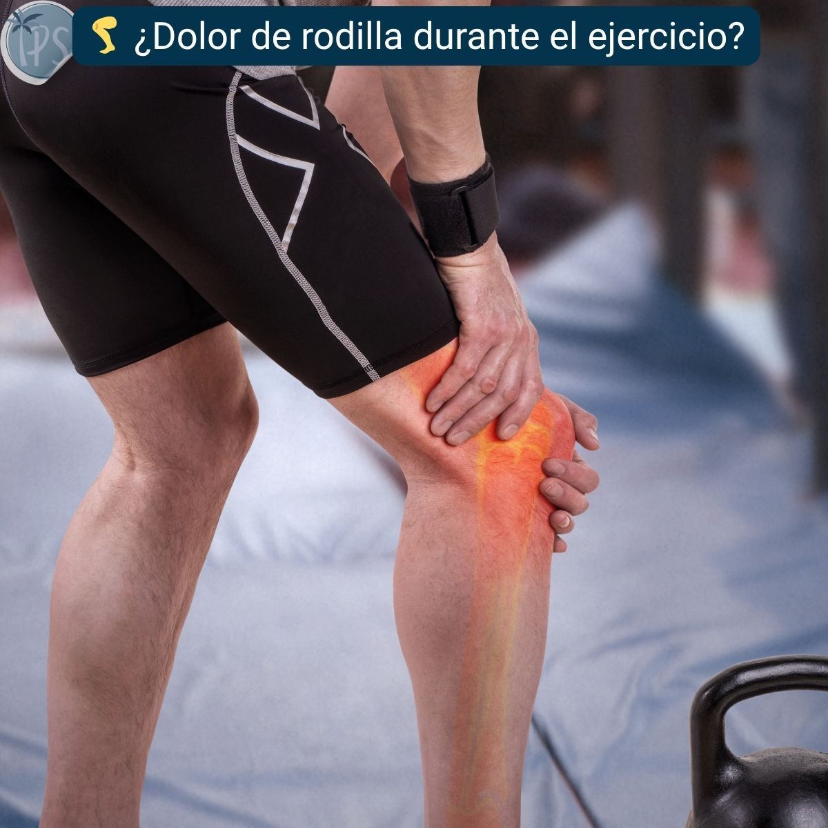 GENERICO - Rodilleras Para Gym Elastica Deportivas De Compresion Rotula