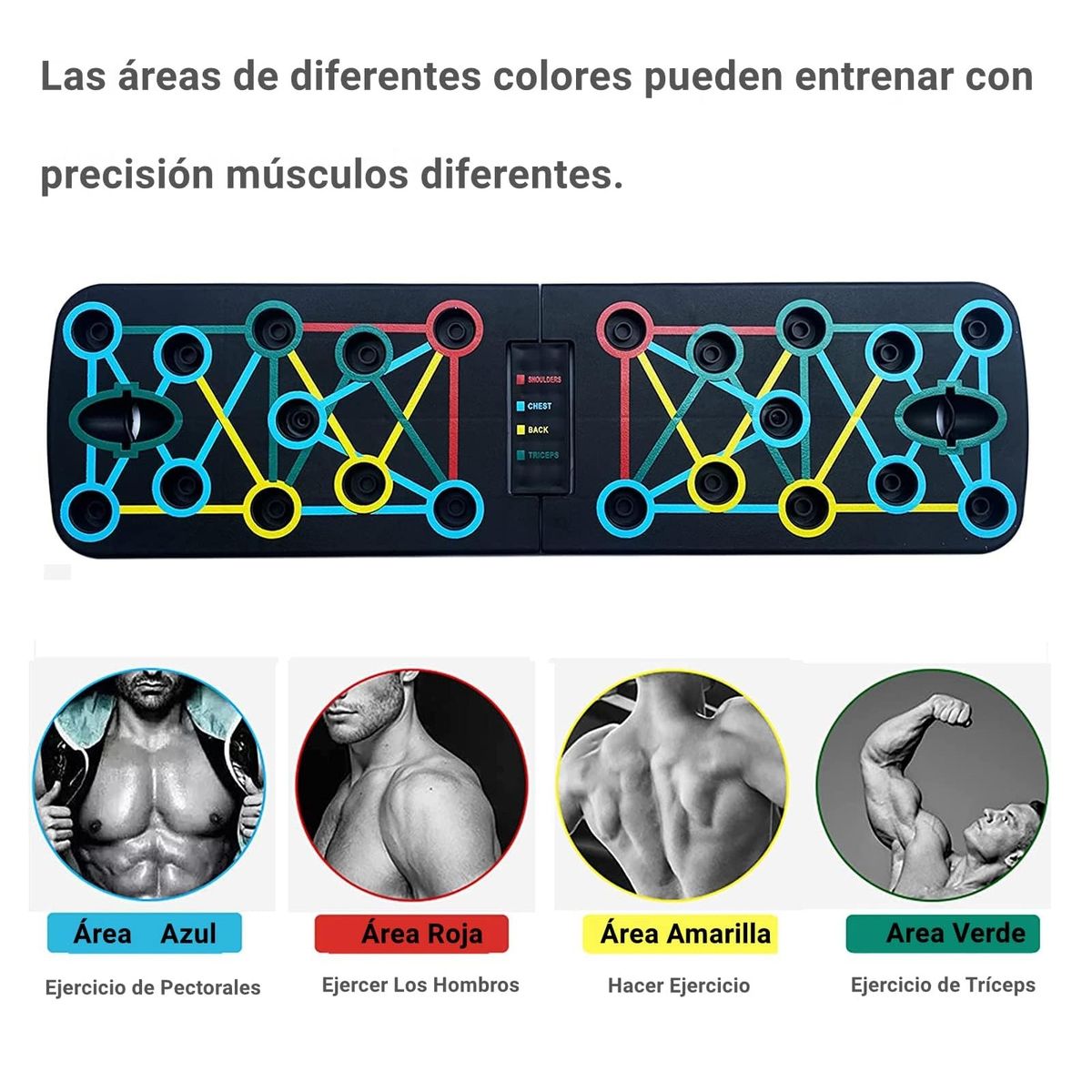 GENERAL - Tablero Flexiones Multifuncional Portatil + Bandas Elasticas