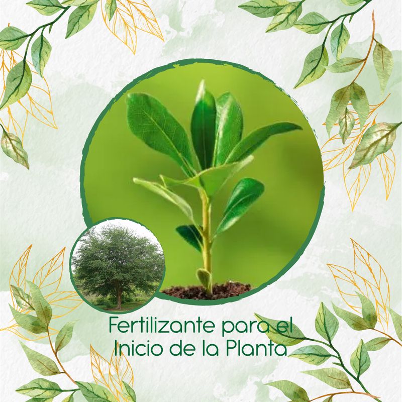 GENERICO - Fertilizante Para El Inicio De Árbol Payande