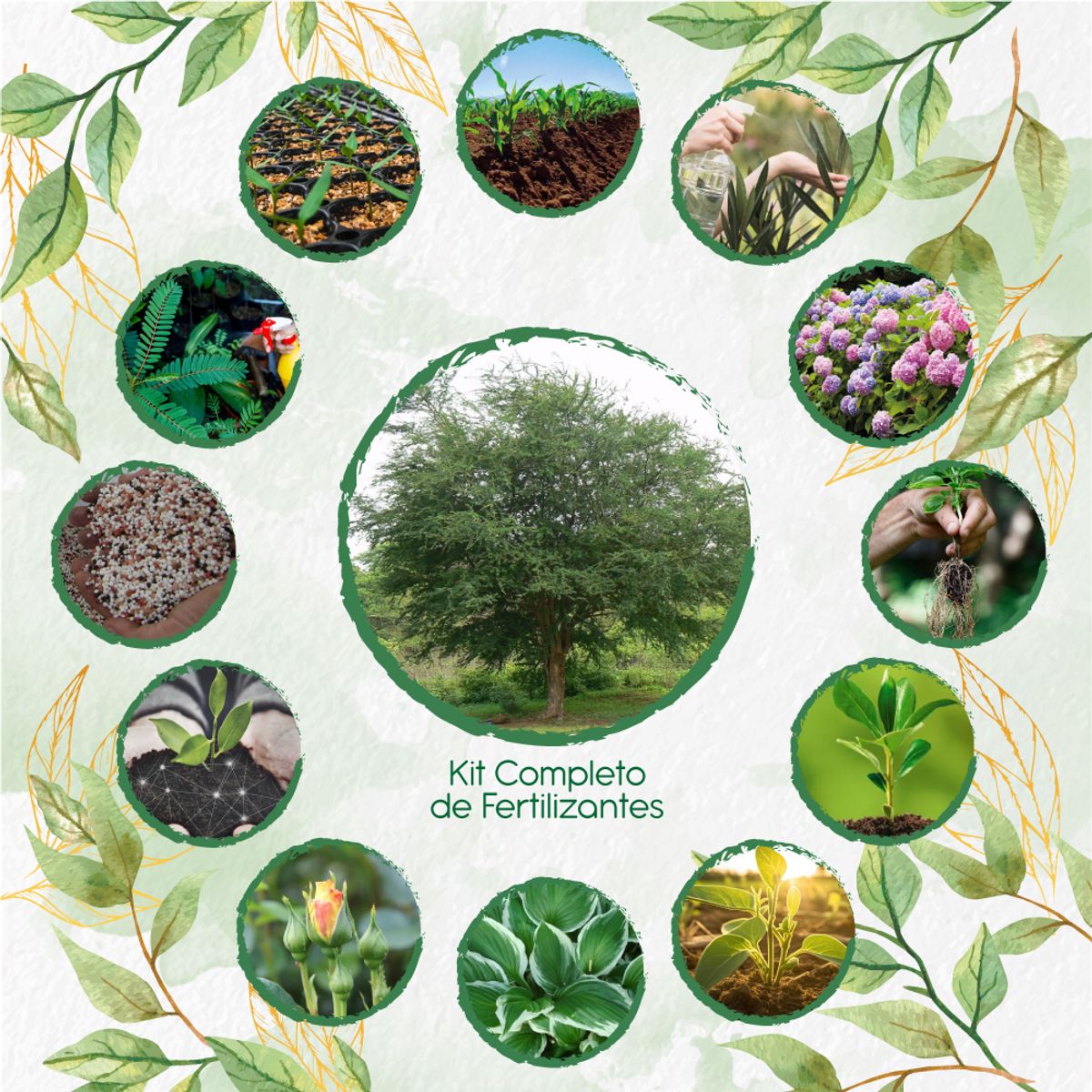 GENERICO - Kit Completo De Fertilizantes Para Árbol Payande