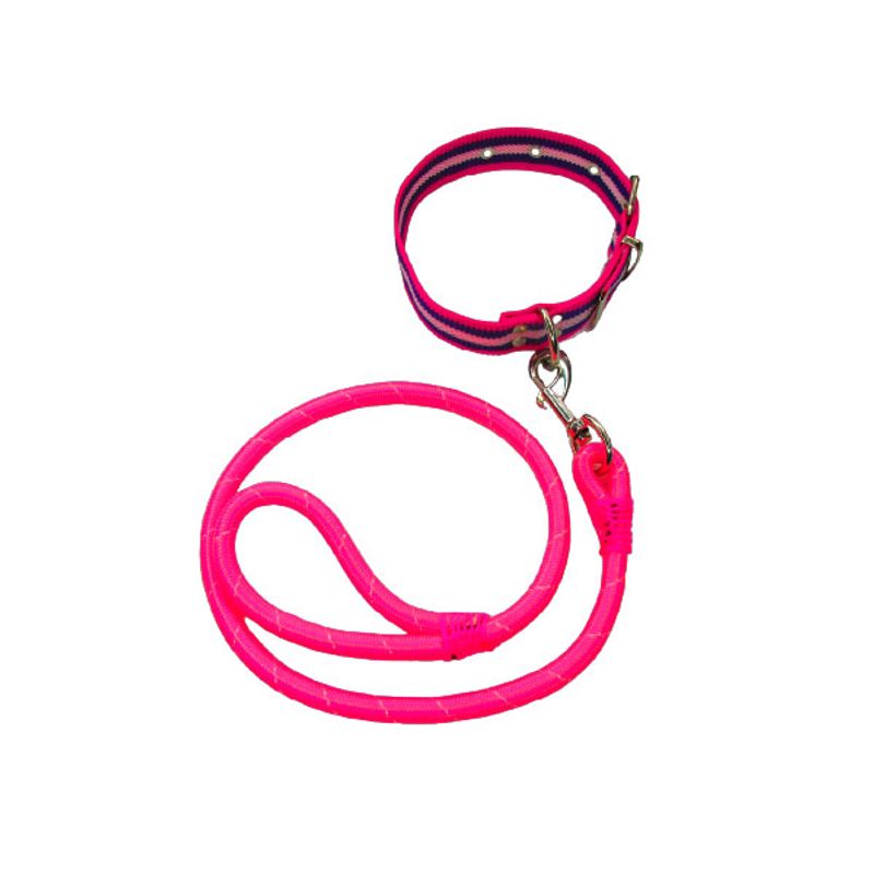 GENERICO - Lazo + collar para mascotas