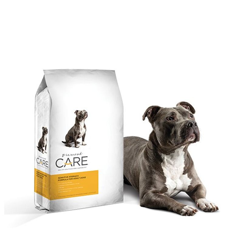 DIAMOND NATURALS - Diamond Care Dogs Estómago Sensible 25lb