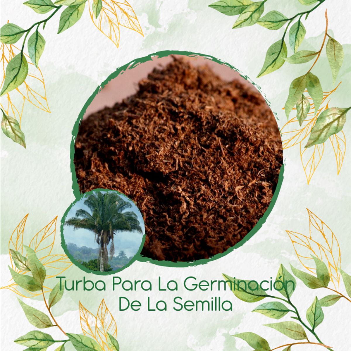 GENERICO - Turba Canadiense Especial Para Semillas De Palma Real