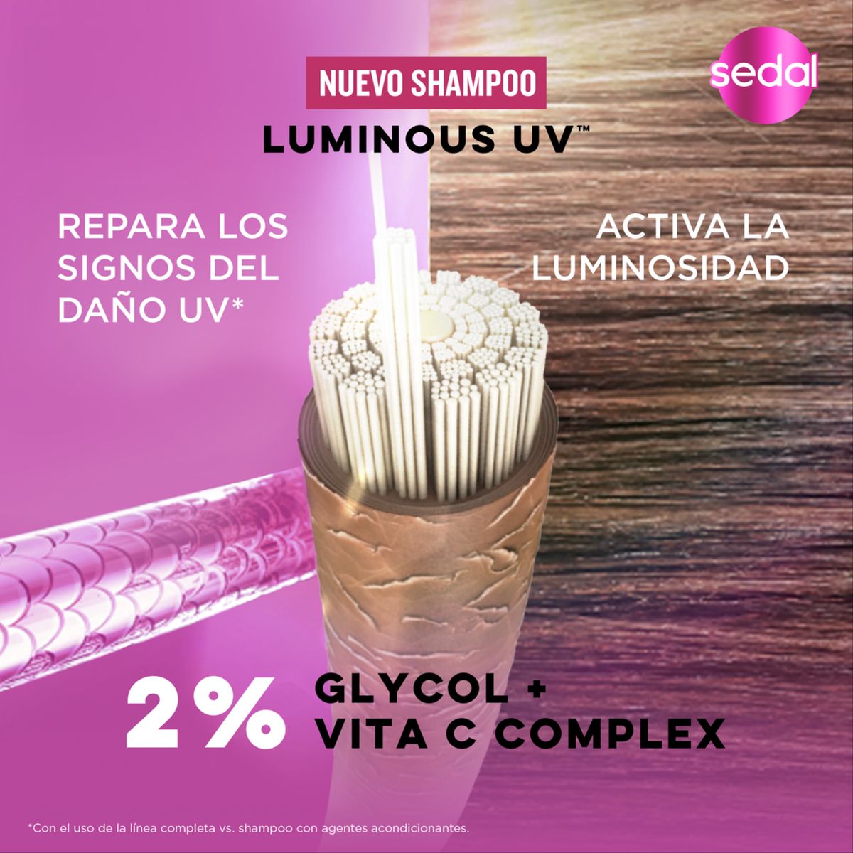SEDAL - Shampoo Sedal Glycol 5x Luminoso por 100h