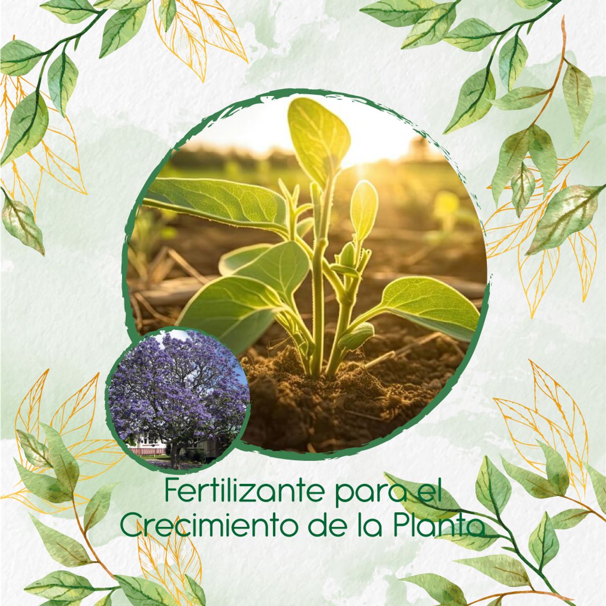 GENERICO - Fertilizante Para El Crecimiento De Árbol Pavito chingale